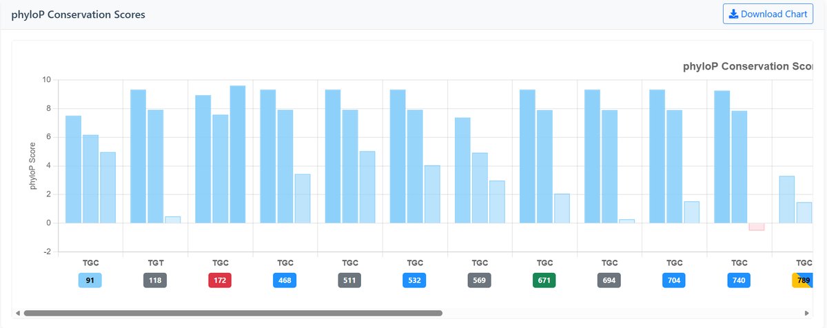 phyloP Conservation Chart