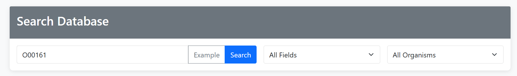 Search Interface