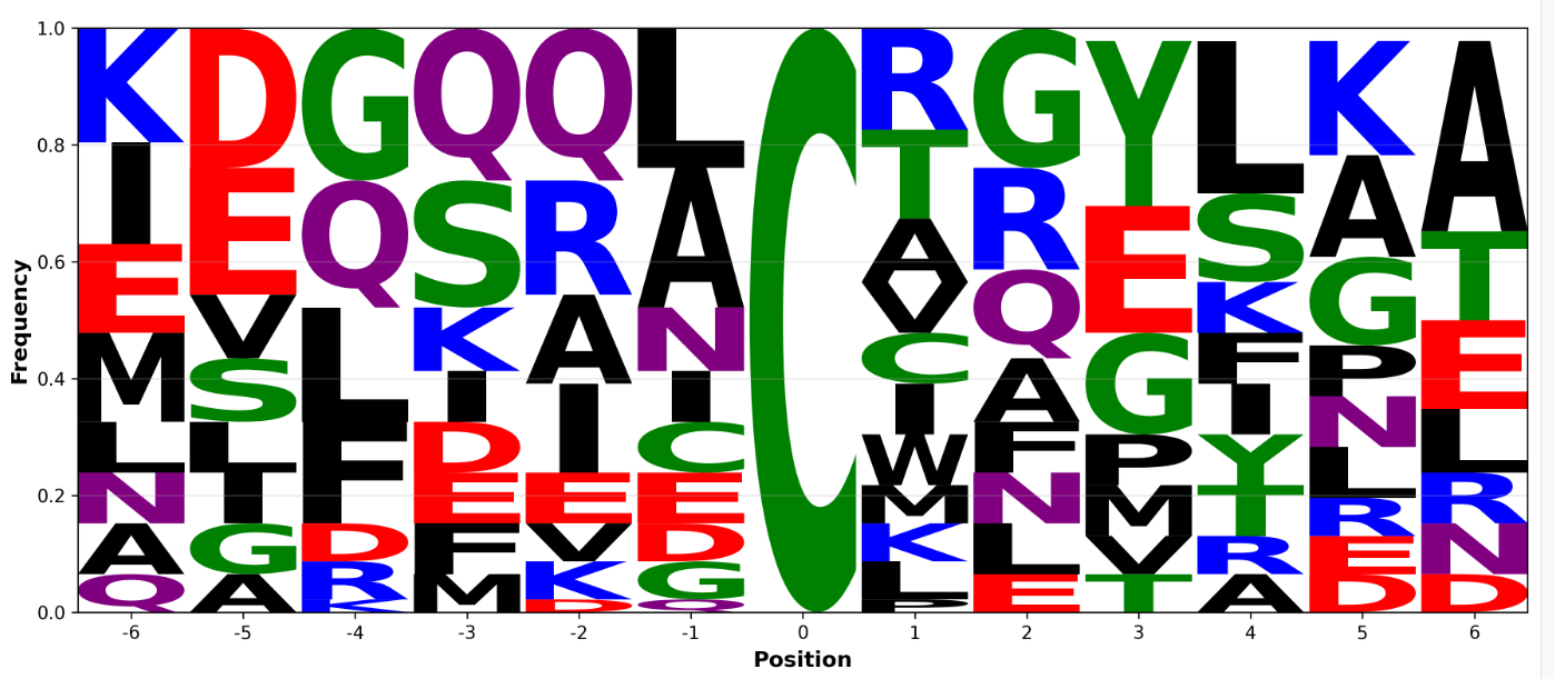 Motif Finder