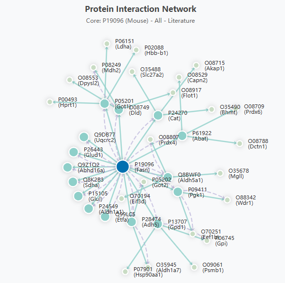 Tool 2 Network Results