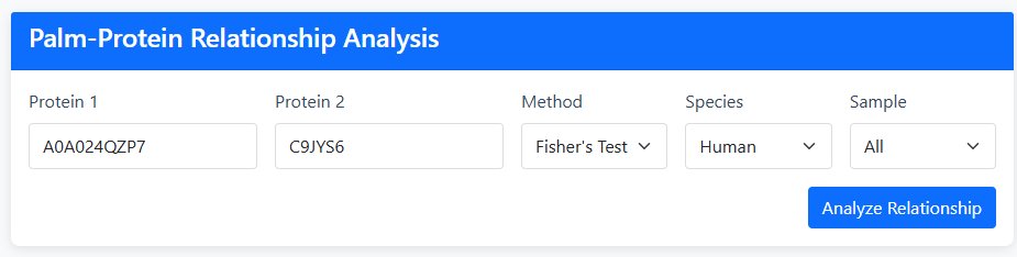Tool 3 Configuration Interface
