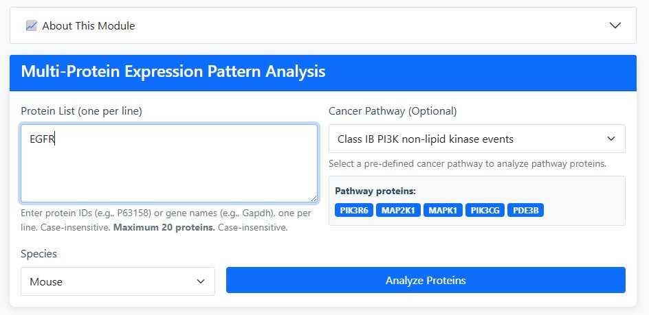 Tool 5 Configuration Interface