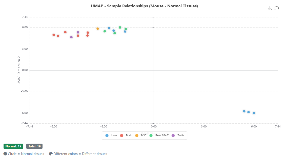 Tool 5 UMAP Results