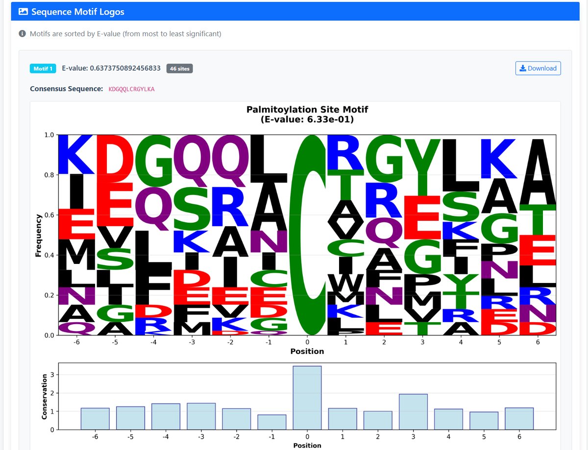 Tool 6 Analysis Results2